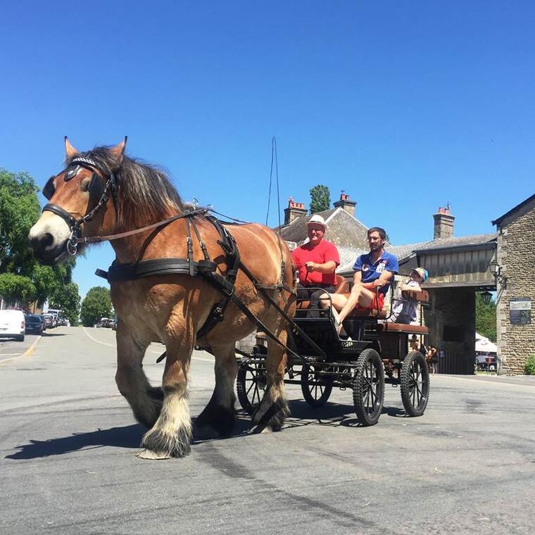 Escapades en Calèche de la Ferme du Lion d'Or