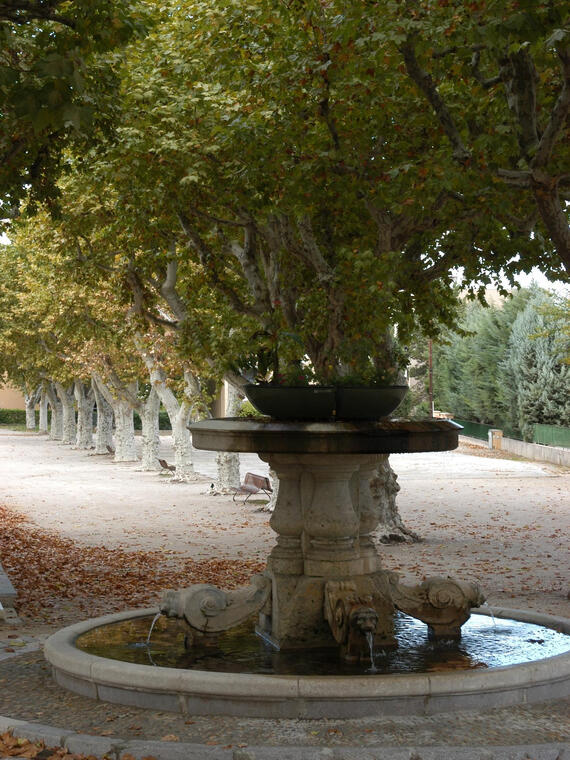 rencontre simiane collongue