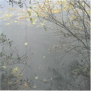 img-name-mising
