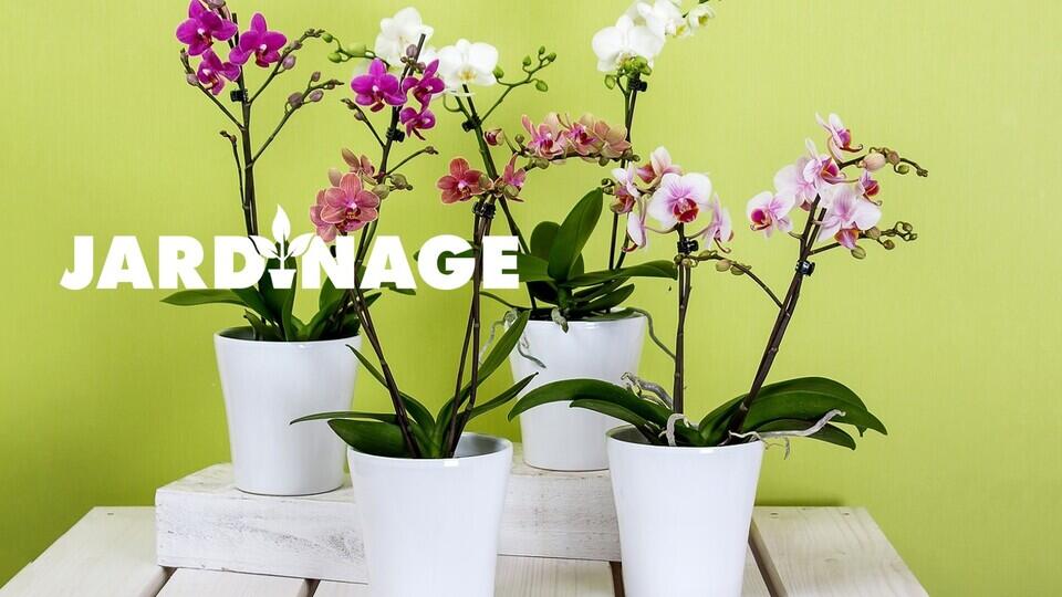 img-name-mising