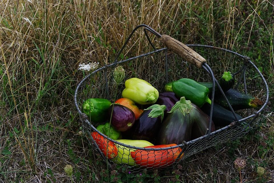 vegetables-2726801_960_720