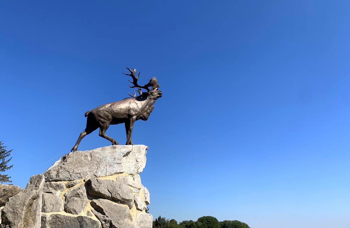 MEMORIAL TERRE-NEUVIEN DE BEAUMONT-HAMEL 1