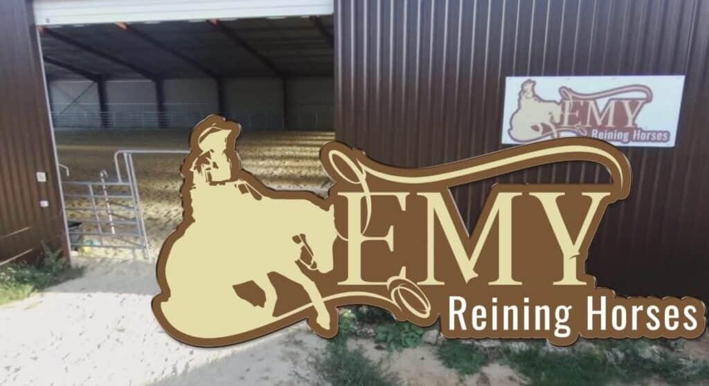 Emy reining horses 2