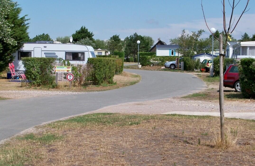 Le Bois de Pins_allee_Cayeux_Somme_Picarde