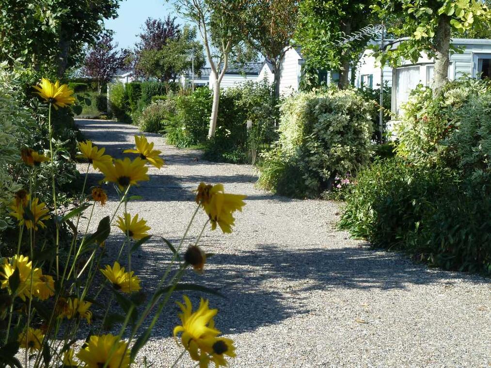 La Côte Picarde_allée_Le Crotoy_Somme_Picardie