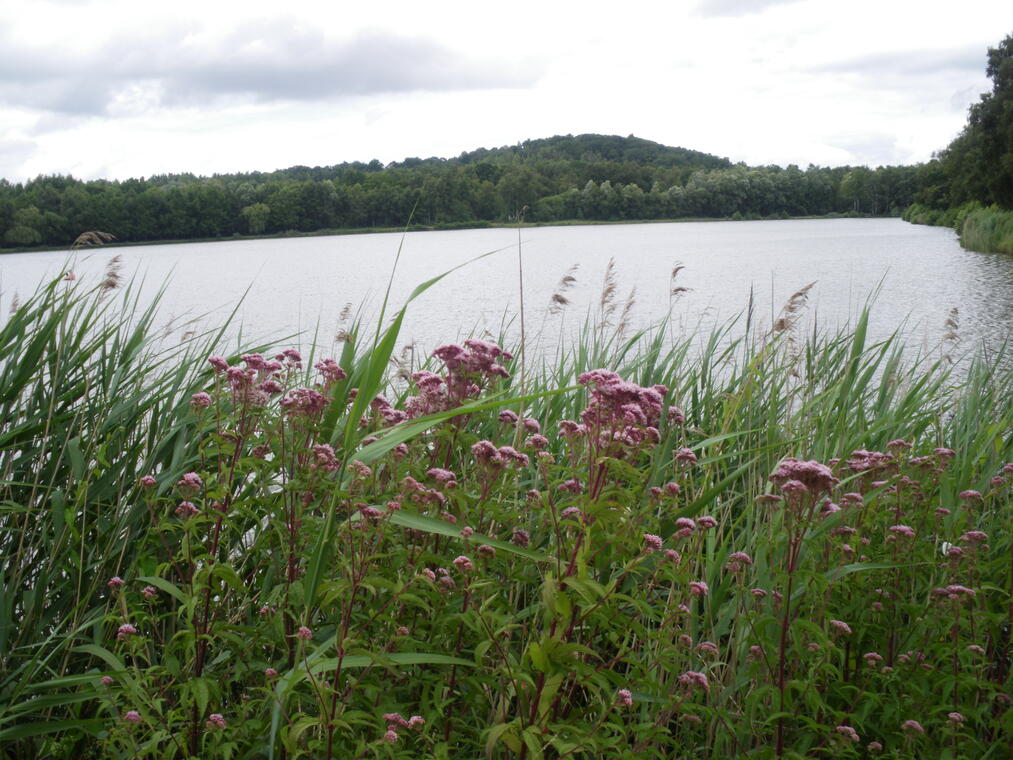 Parc des Bruyères