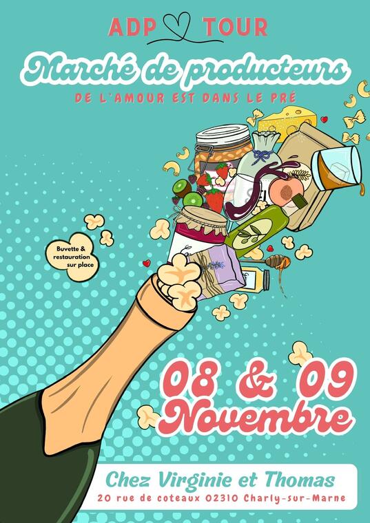 affiche Virginie Bedel