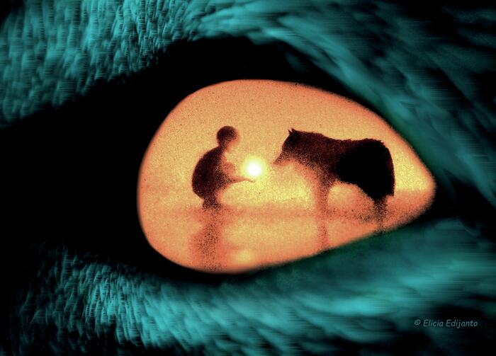 Spectacle: L'Oeil du Loup_1