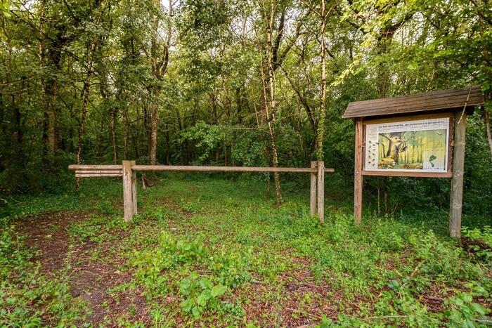 Balade nature - Promenons nous dans les bois_1