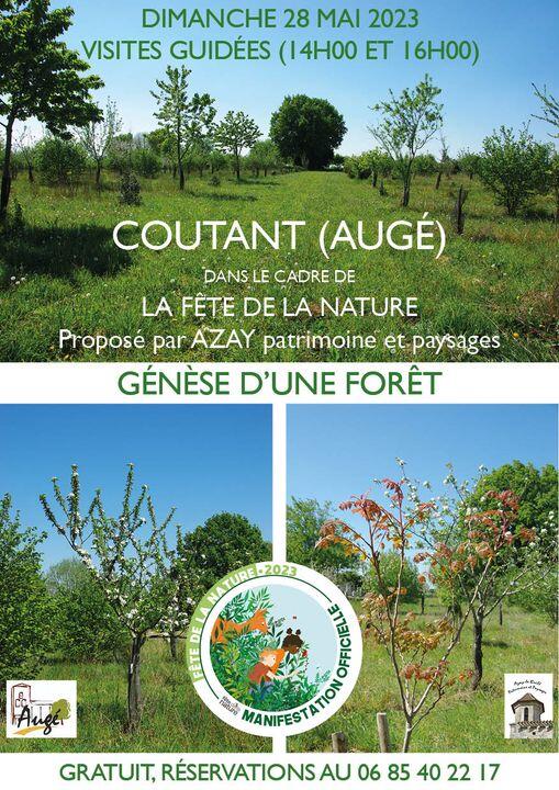 genèse d'une forêt