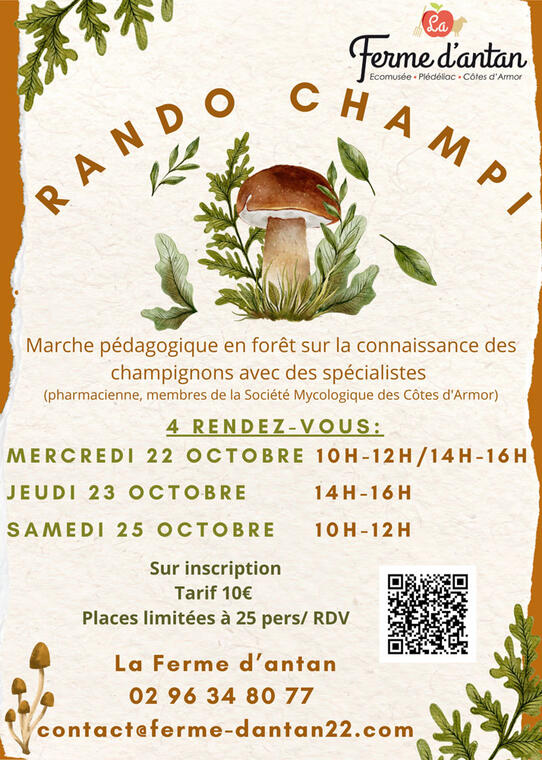 Rando champi