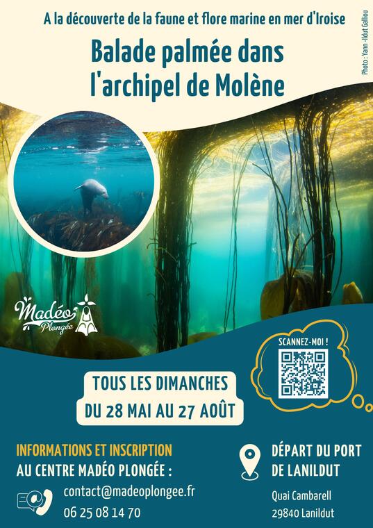 Affiche de communication randonnée palmée avec Madéo Plongée