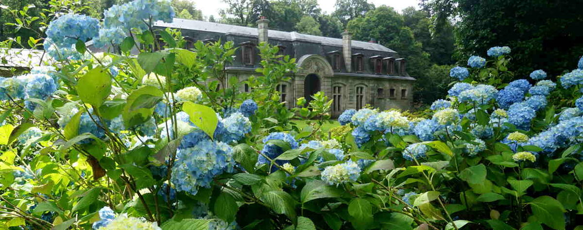 Saison botanique #3