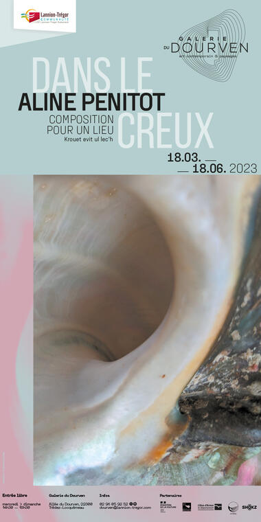 affiche-Aline-Penitot