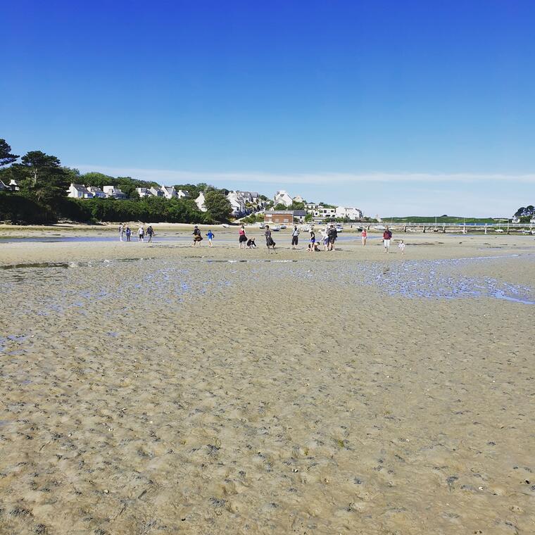 conquet6