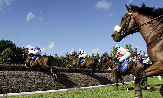 courseshippiques (3)