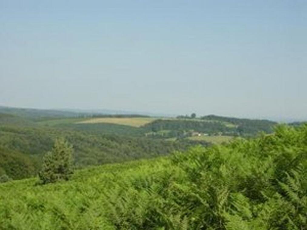 Sentier d'interprétation des landes de Gioux.jpg_1