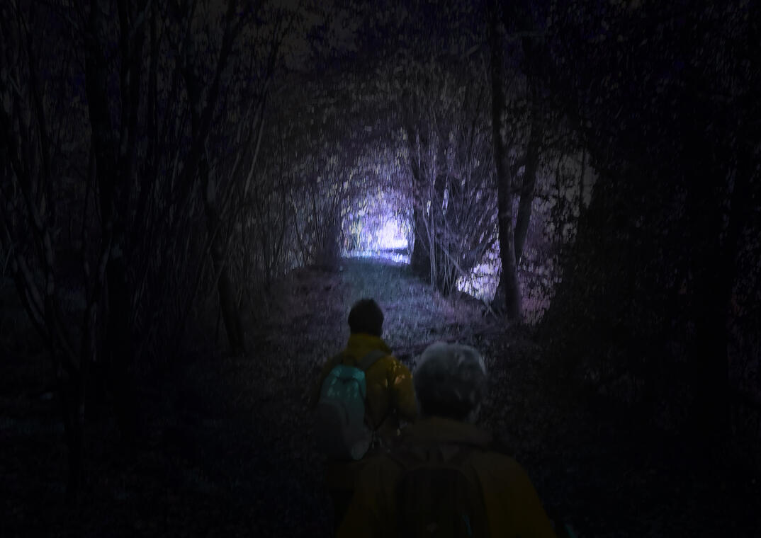 Rando nocturne des étangs de la Cazine_1