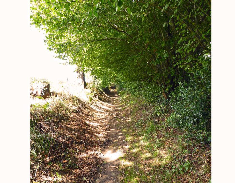 Les Hauts d'Oradour_1
