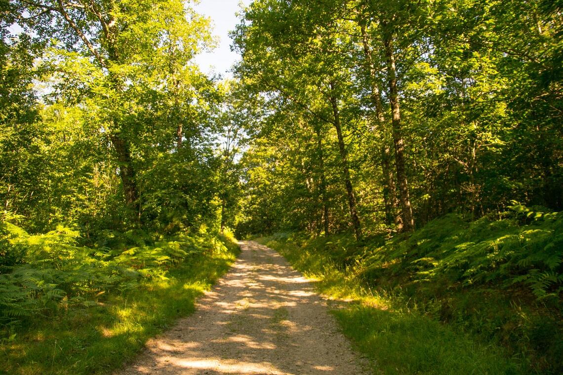Sentier de la croix du loup_1