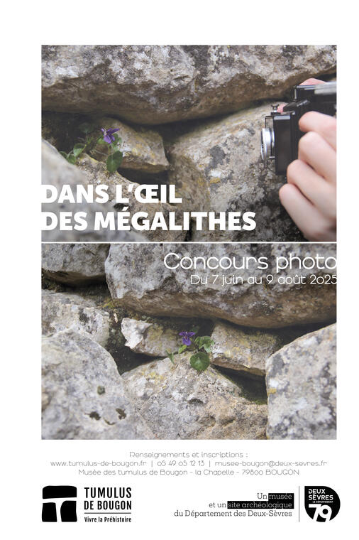 Concours photo_Dans l'oeil des mégalithes