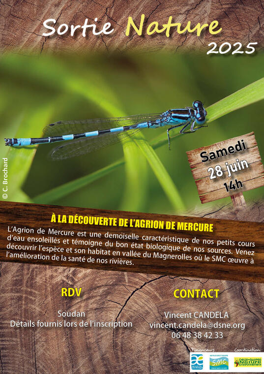 À la découverte de l'Agrion de Mercure