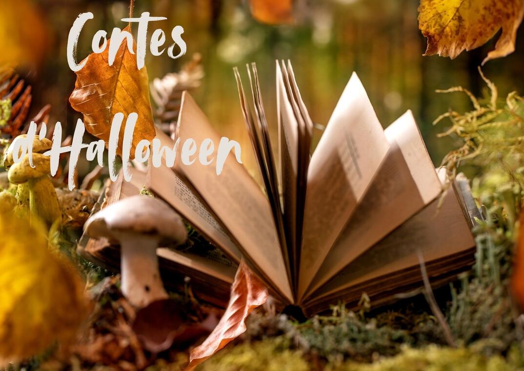 Contes