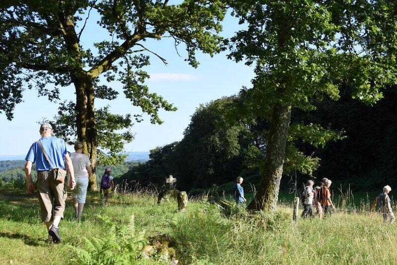 Le site de Saint-Pardoux