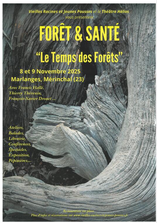 FORET ET SANTE