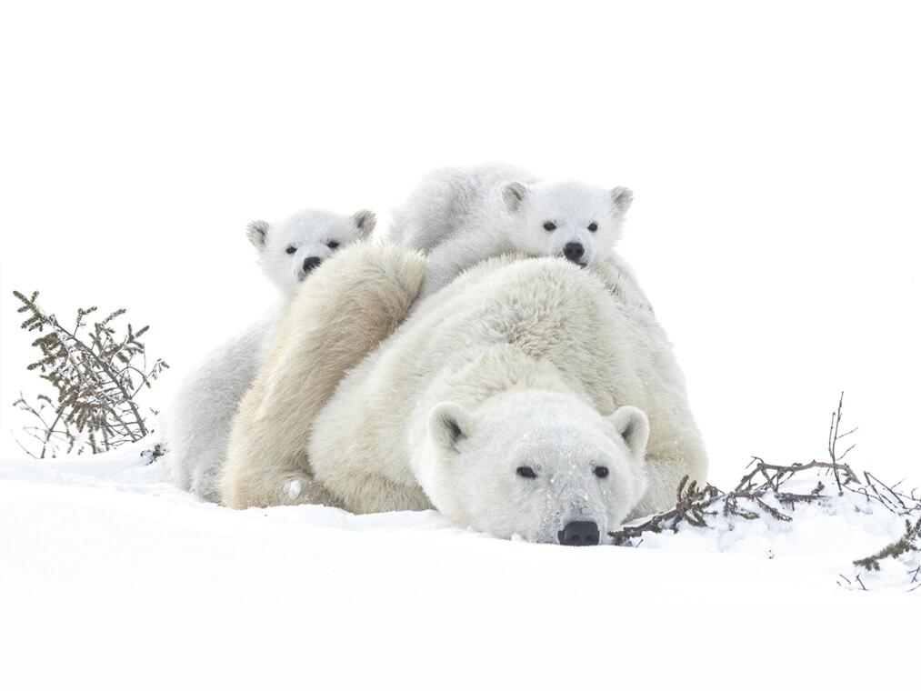 Festival Nature Climat Environnement