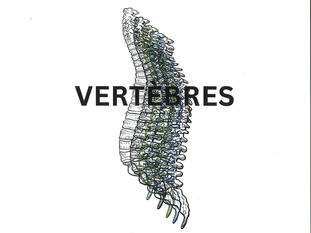 GALERIE Vertebres