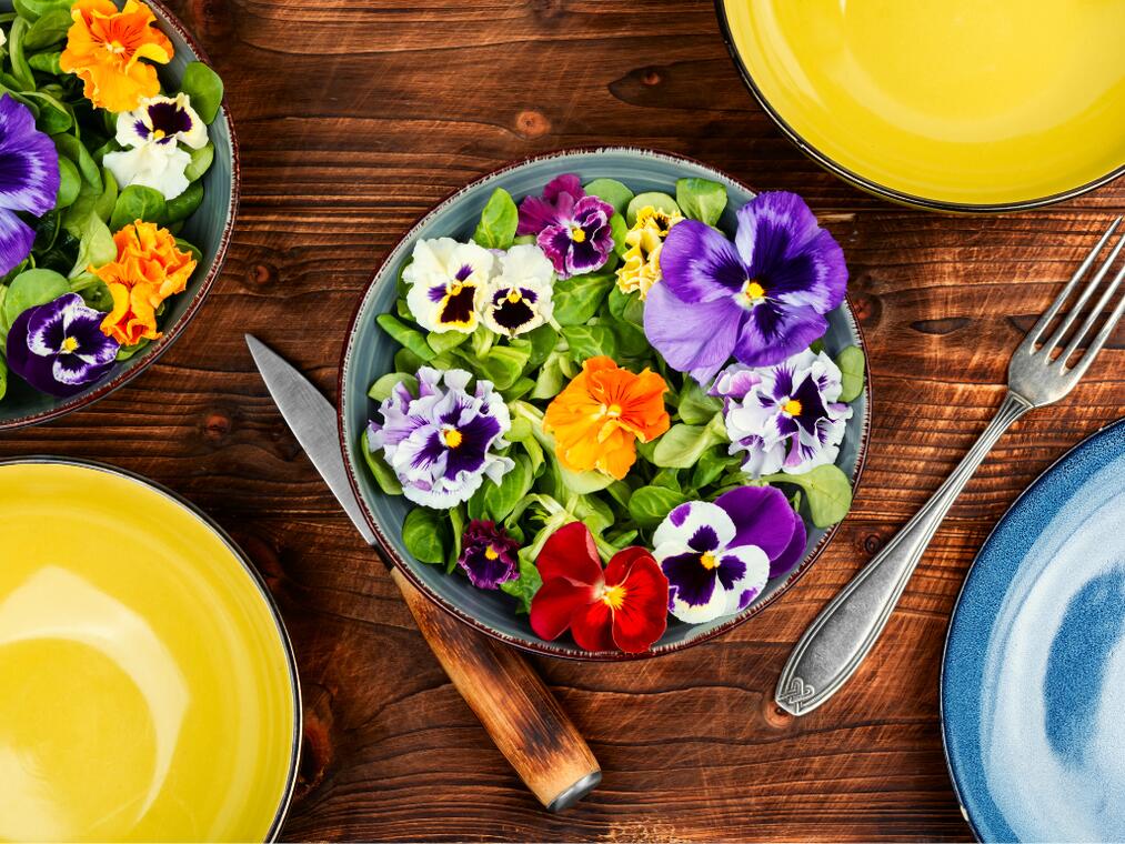 Fleurs et plantes comestibles