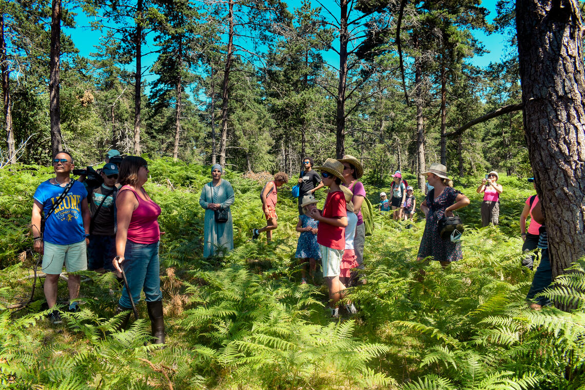 MDM-30072020-Highland (4)