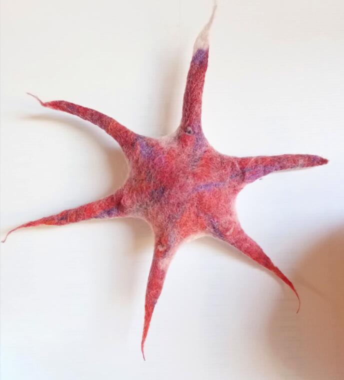 Étoile de mer