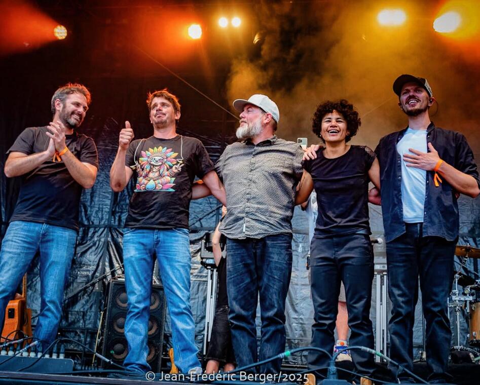 The Sunvizors