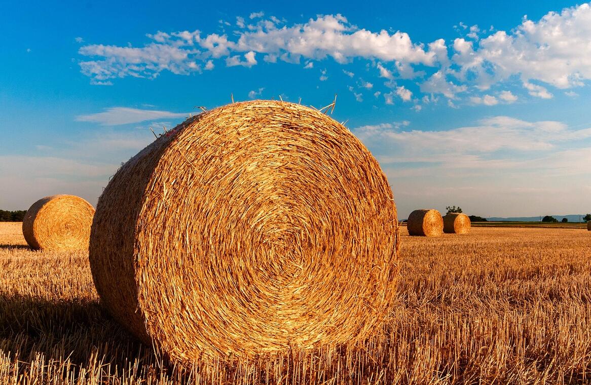 botte de paille