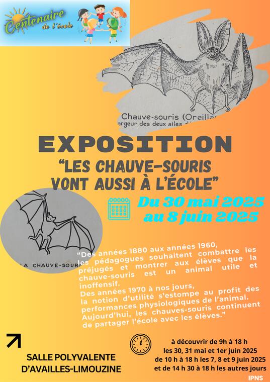 exposition chauve souris - 1