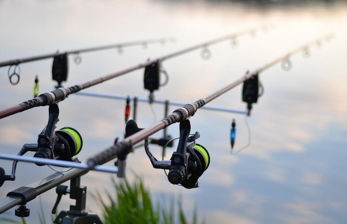 fishing-3302535_1280