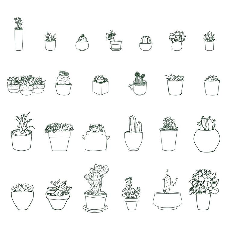 plant-3984065_1280