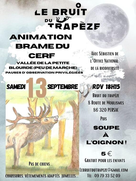rando brame cerf - 1