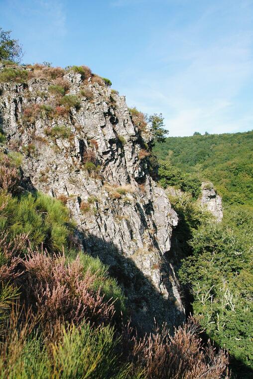 site Rouchilloux
