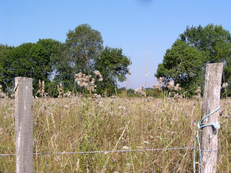 (2)prairies-du-fouzon©CDT41-conservatoireducentre