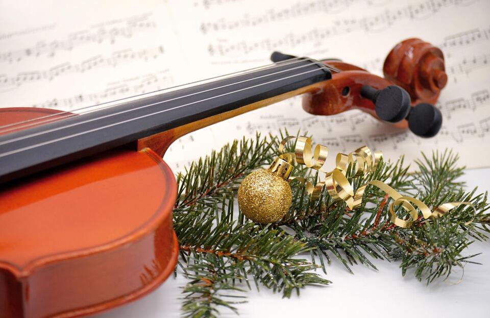 Violon