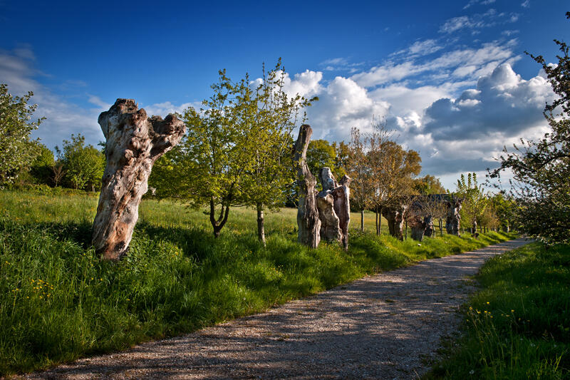 Chemin-des-Trognes-Maison-Botanique-Boursay©Laurent-Alvarez-Conseil-Departemental41--(10)