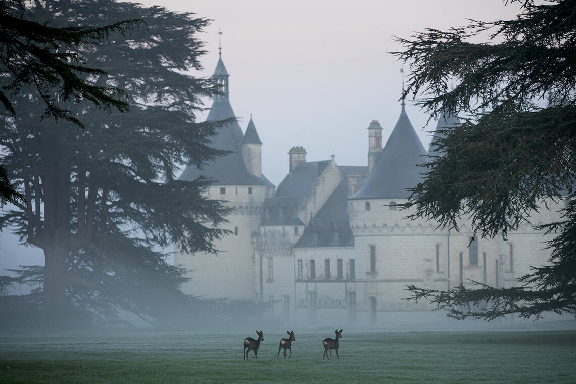 Domaine de Chaumont-sur-Loire_Rêves d'antan