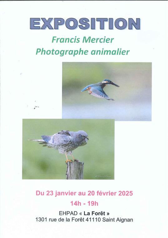 Exposition Francis Mercier