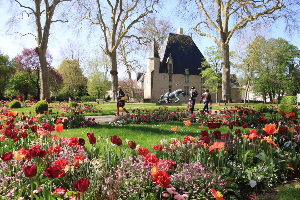 Fleurs printemps