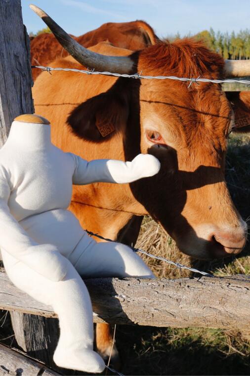 JFK Olaf&Vache