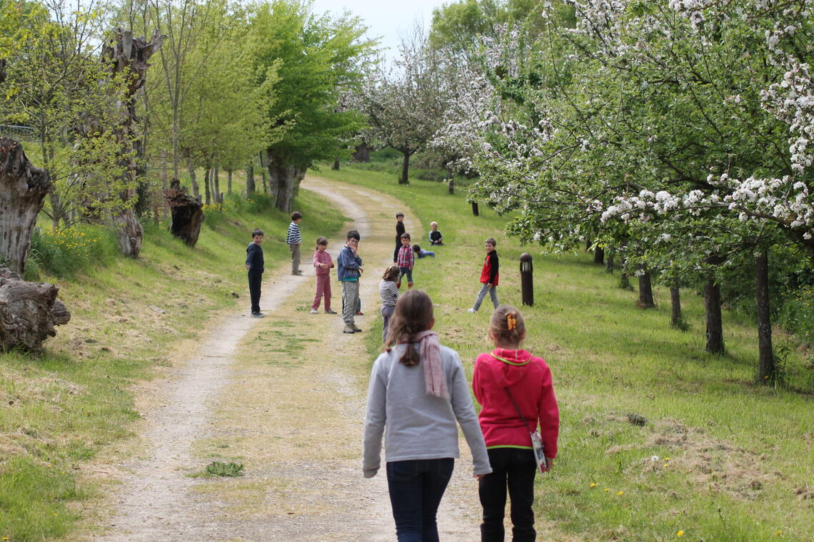 MaisonBotanique-Chemin-Trognes