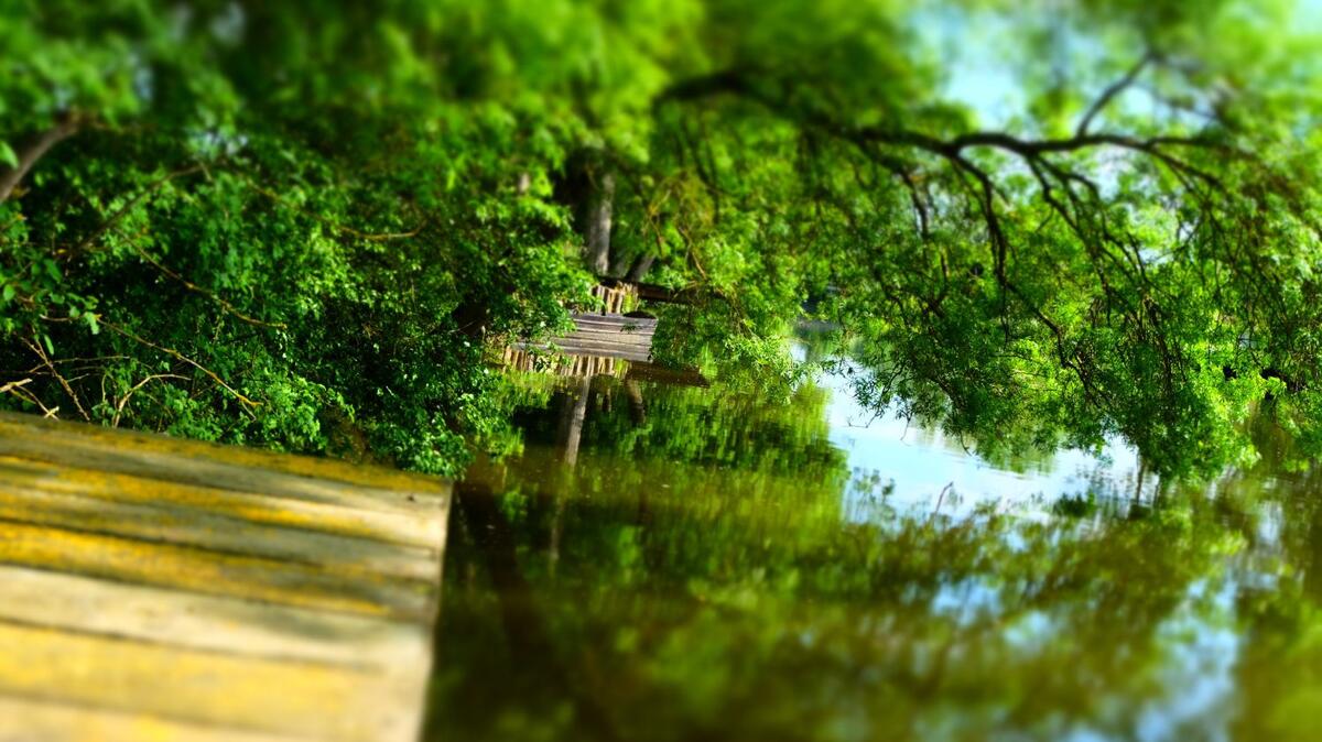 Le Loir